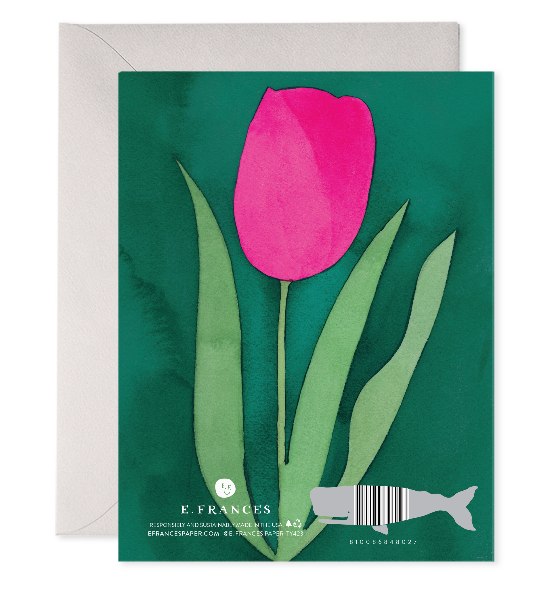Pink Tulip Thank You Boxed