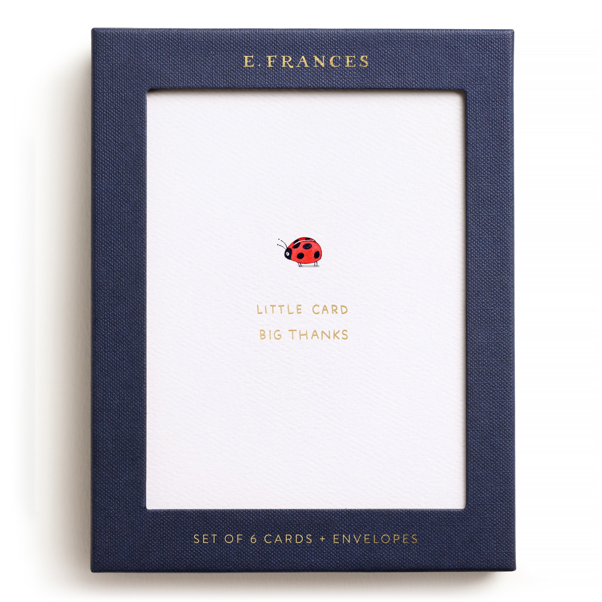 Little Card Big Thanks Greeting Card