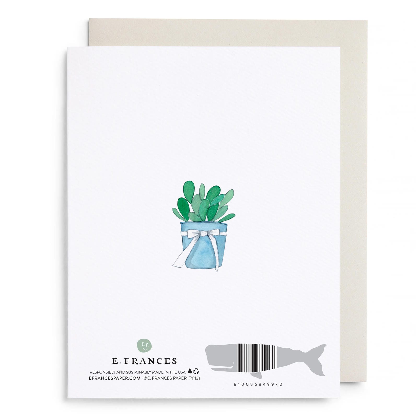 Alligator Thank You Greeting Card