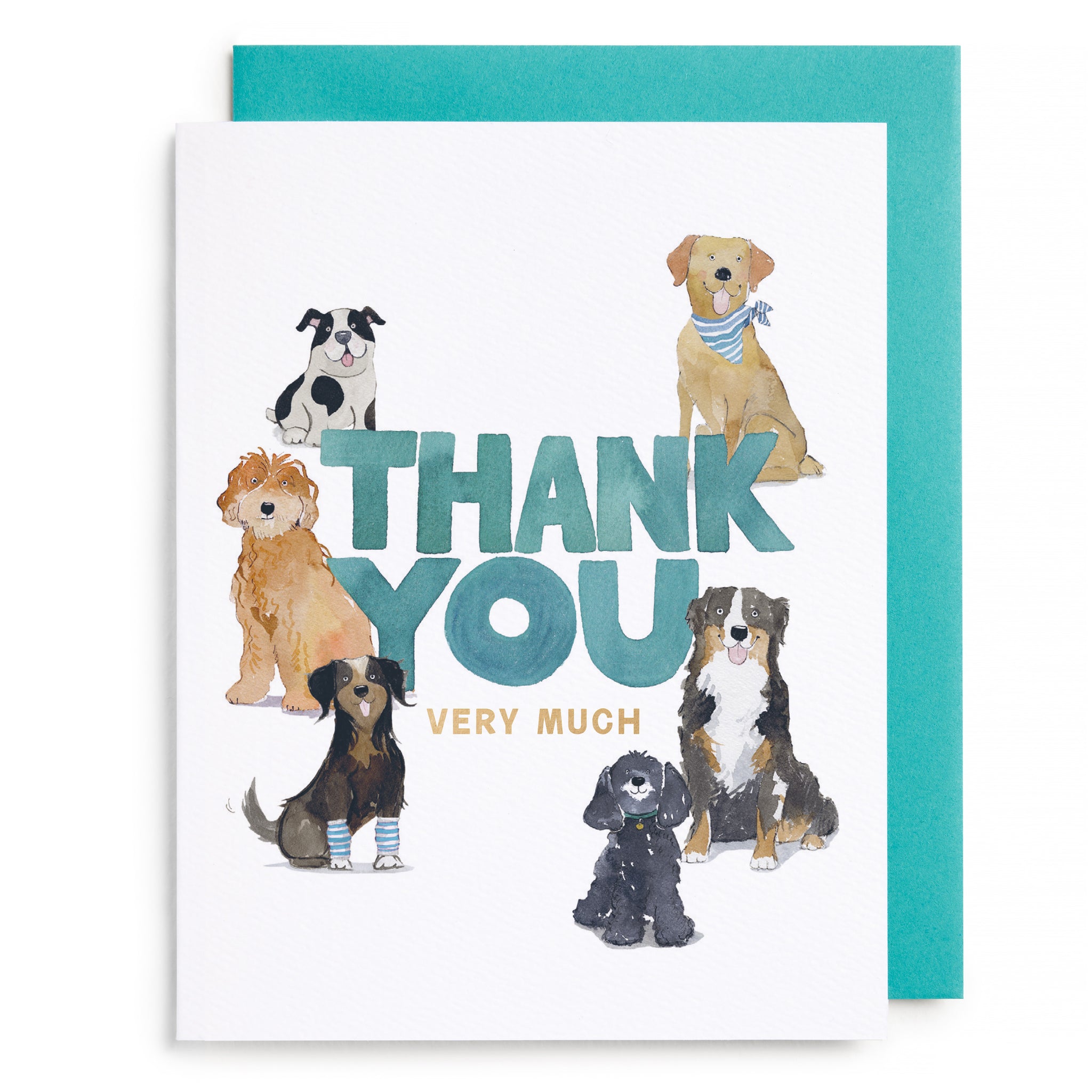 Doggy Thank You Greeting Card (Boxed Set of 6)