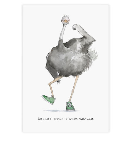 Optimistic Ostrich Postcard